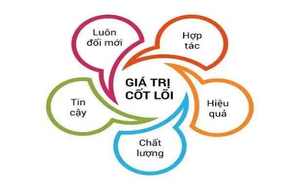 hinh anh introduce 3